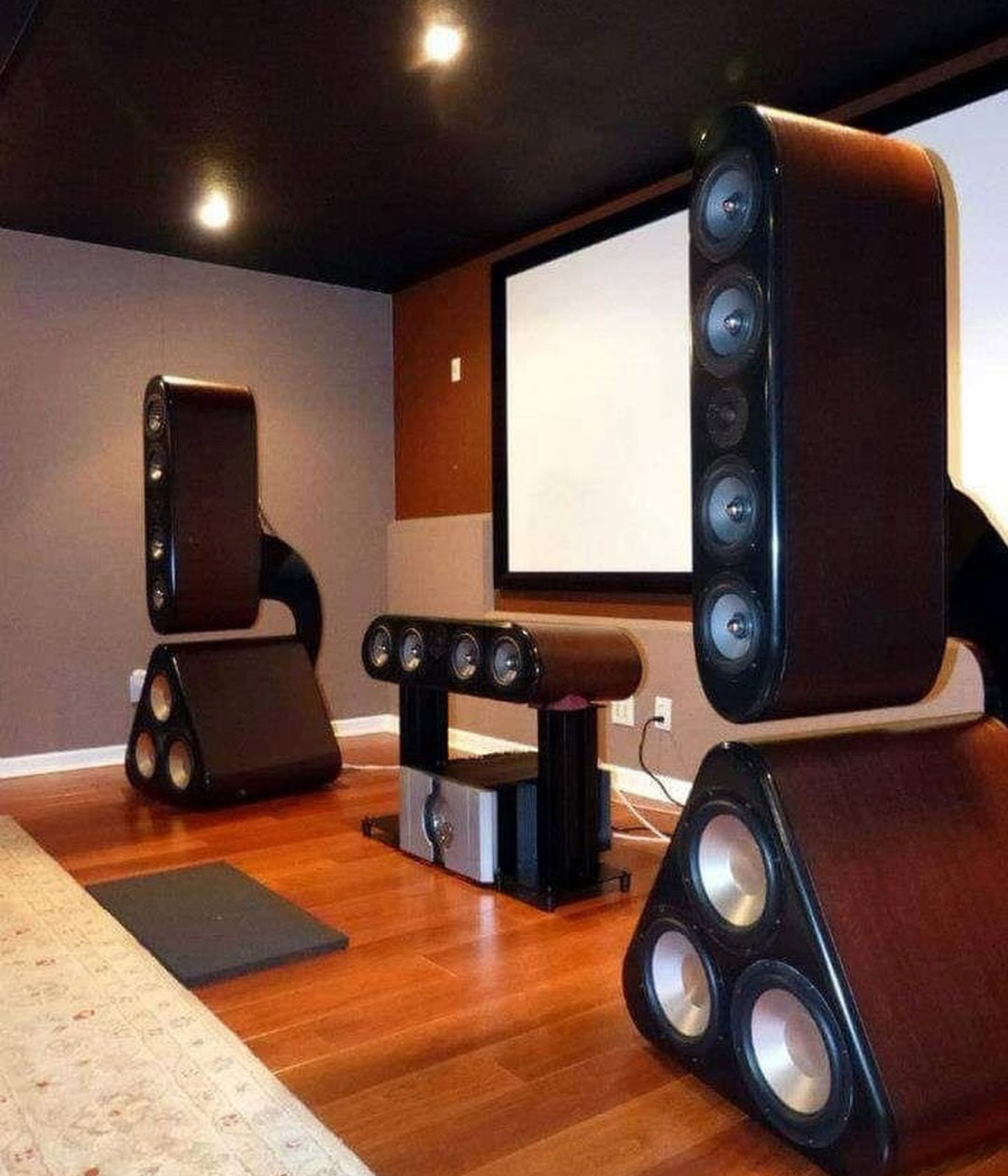 High-End Home Theater Setup